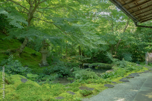 京都 日本 お寺 広告 写真 素材 日本庭園 数寄屋造 紅葉 春 夏 秋 四季 自然 歴史 観光 旅行 