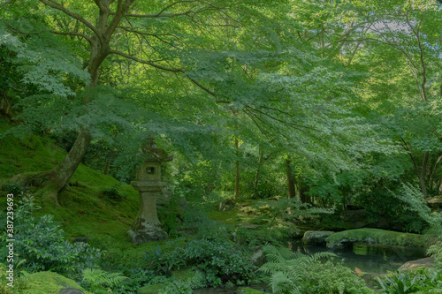 京都 日本 お寺 広告 写真 素材 日本庭園 数寄屋造 紅葉 春 夏 秋 四季 自然 歴史 観光 旅行 
