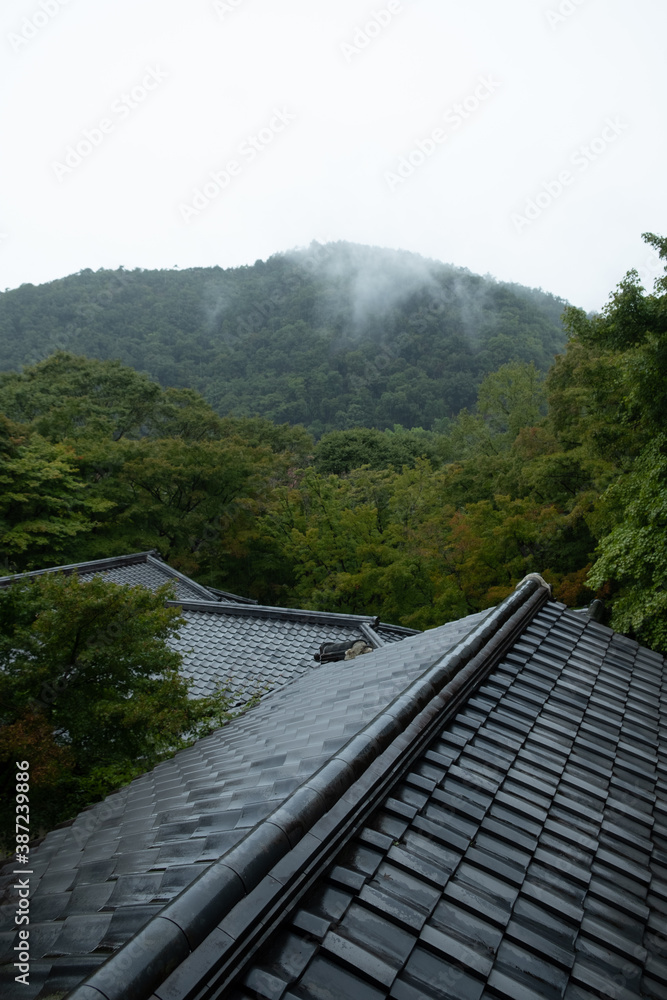 京都　日本　お寺　広告　写真　素材　日本庭園　数寄屋造　紅葉　春　夏　秋　四季　自然　歴史　観光　旅行　