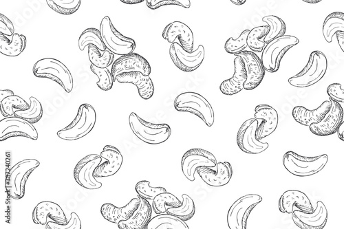 Seamless pattern with cashew nuts. Line art style. photo