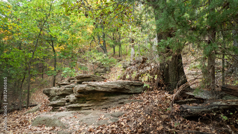 Forest trail in early autumn with layered rocks Forest trail in early autumn with layered rocks