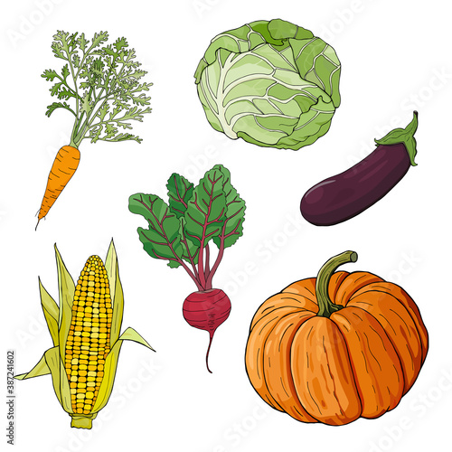 autumn vegetables