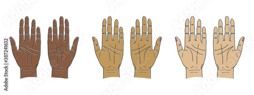 Isolated vector illustrations of palm. Vector palmistry symbols. Isolated hand icons. 