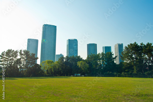 豊洲の高層マンションと芝生