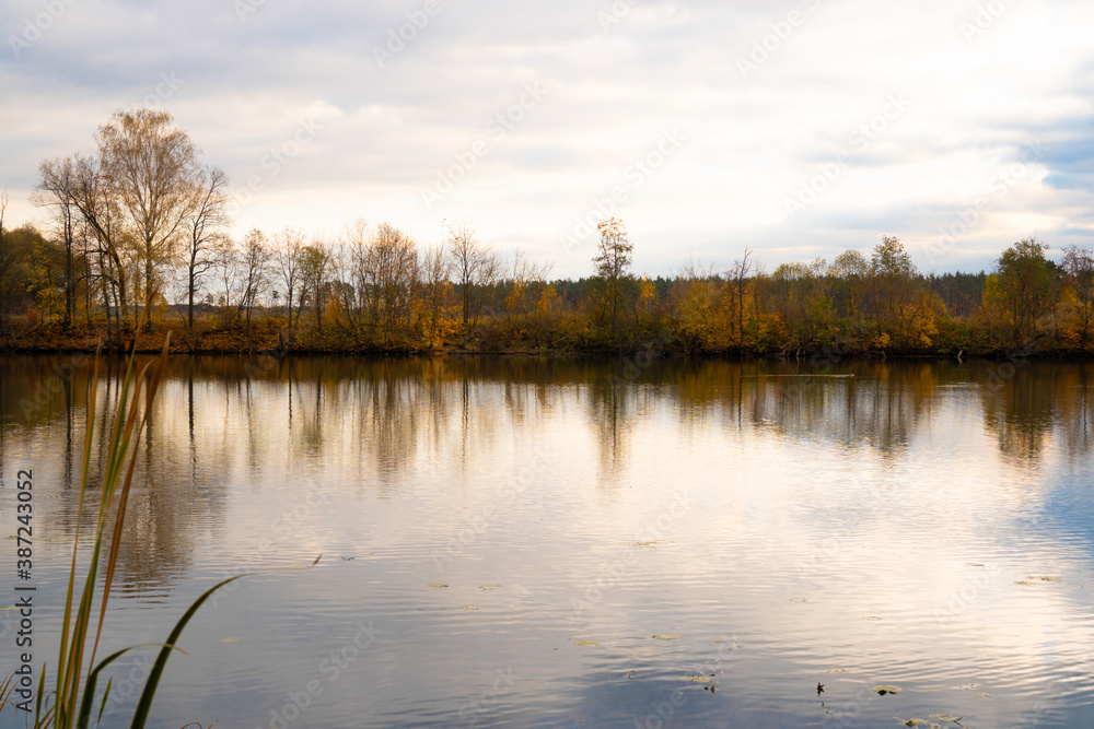 Cold autumn landscape with river surface and forest on the horizon.