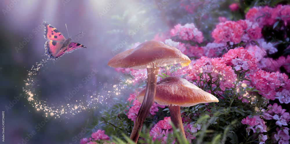 Fototapeta premium Fantasy Magical Mushrooms and Butterfly in enchanted Fairy Tale dreamy elf Forest with fabulous Fairytale blooming pink Rose Flower on mysterious Nature background and shiny glowing moon rays in night
