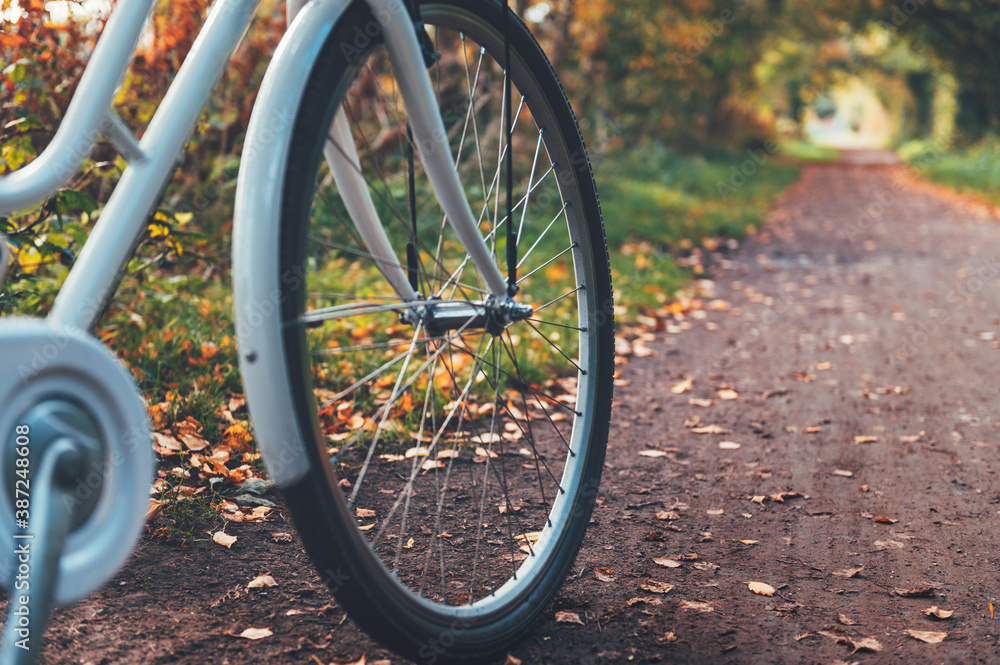 Fototapeta premium Vintage bicycle in autumn forest