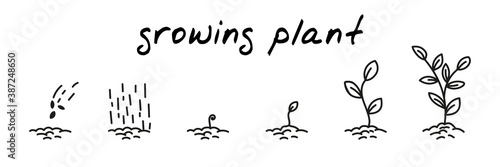Plant growing concept handdrawn illustration. Cute cartoon vector clip art with 6 illustrations depicting different stages of plant growth from sowing to leaves. Black and white linear sketch