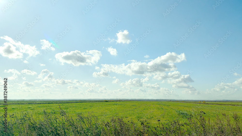 Green field and light blue sky with white cloud Green field and light blue sky with white cloud