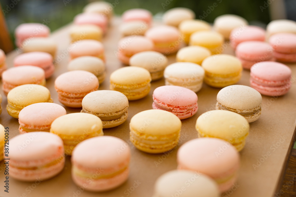 A nice picture of some delicious macarons arranged on a tray A nice picture of some delicious macarons arranged on a tray