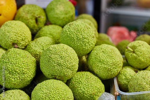 Maclura pomifera orange Apple-bearing or dye mulberry or false orange. The mulberry family. Group Rosaceae. Fruit of the tree on the counter in a box.