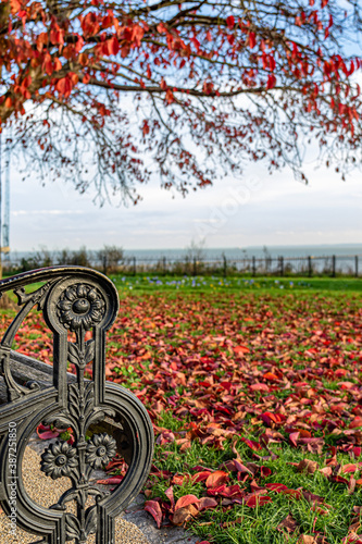 Arm of park bench surrounded by red leaves 