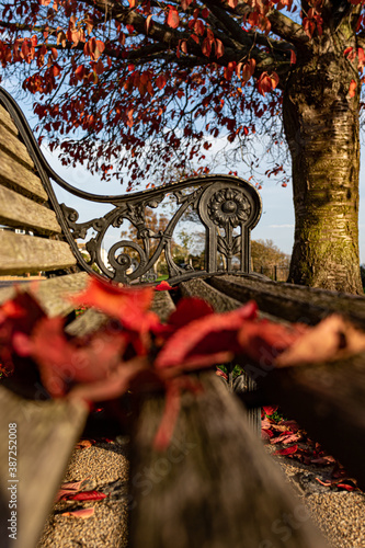 Out of focus red leaves on a park bench .