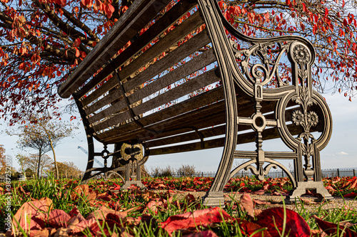 Low down shot of park bench surrounded by red leaves.