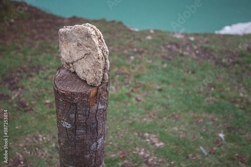 Block of wood with a stone resting vertically on it and in the background a meadow with a lake, Dolomiti Bellunesi National Park, Dolomites, Italy