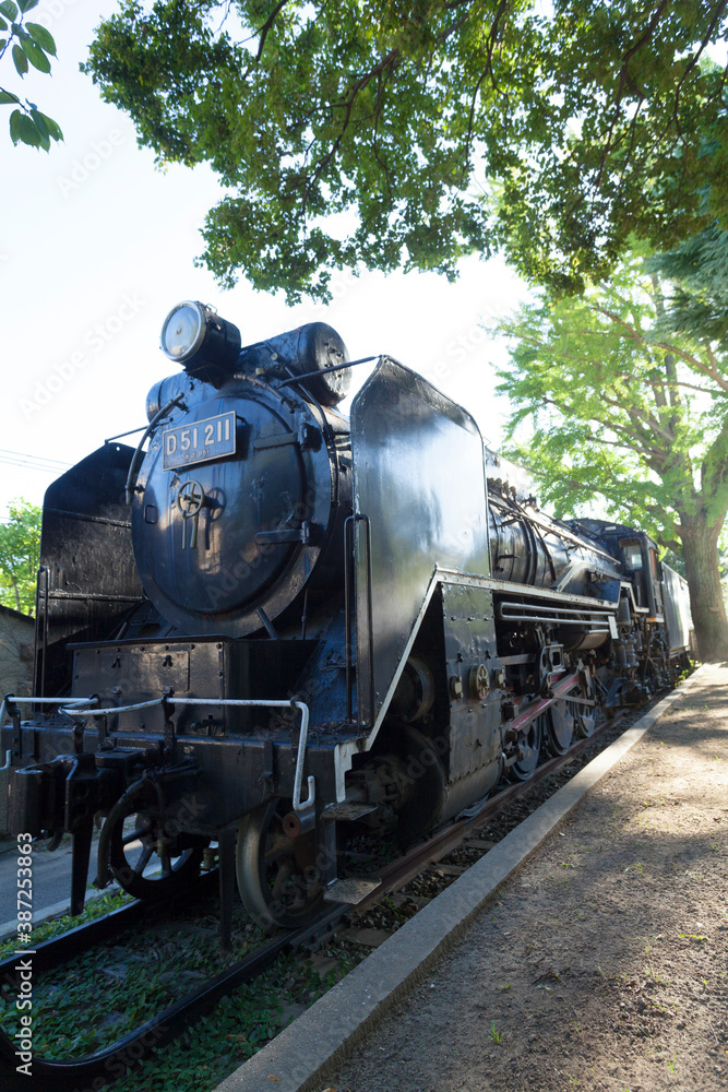 Obraz premium 王子動物園のD52