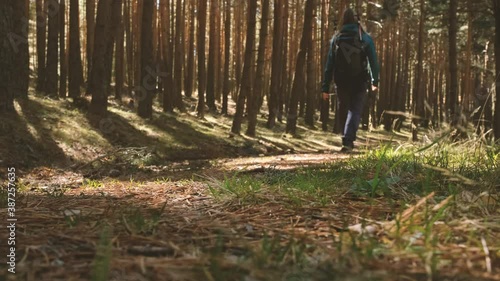 Wallpaper Mural Alone woman hiking in a forest Torontodigital.ca
