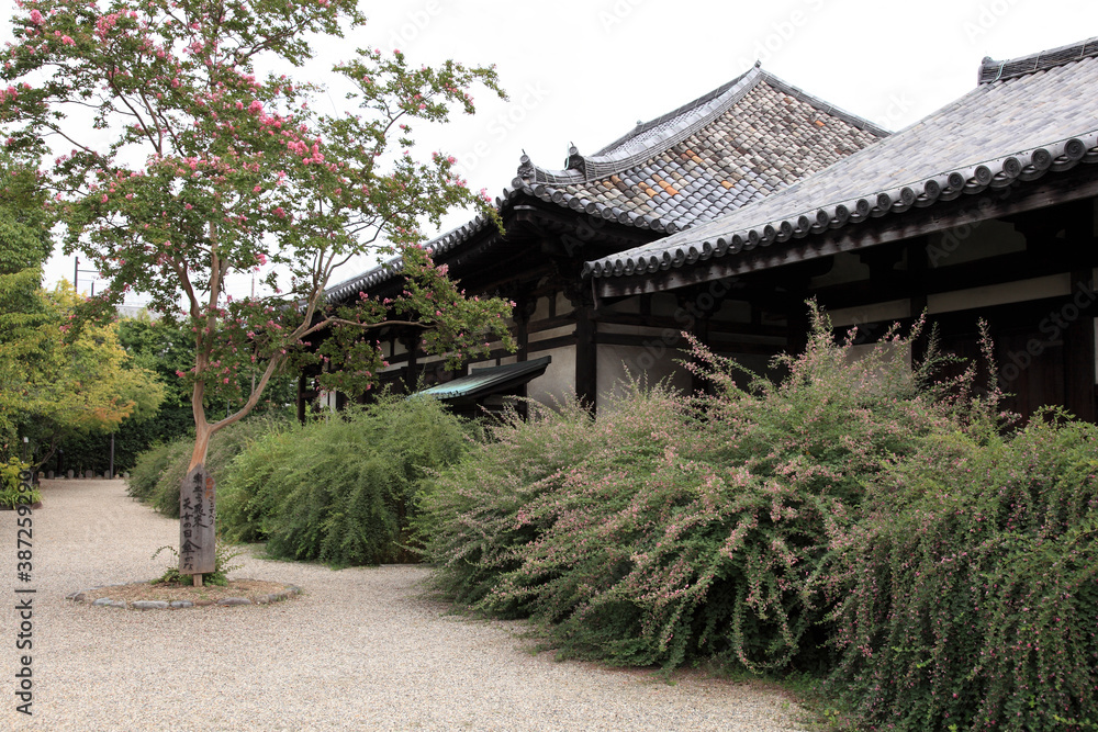 萩の花咲く元興寺