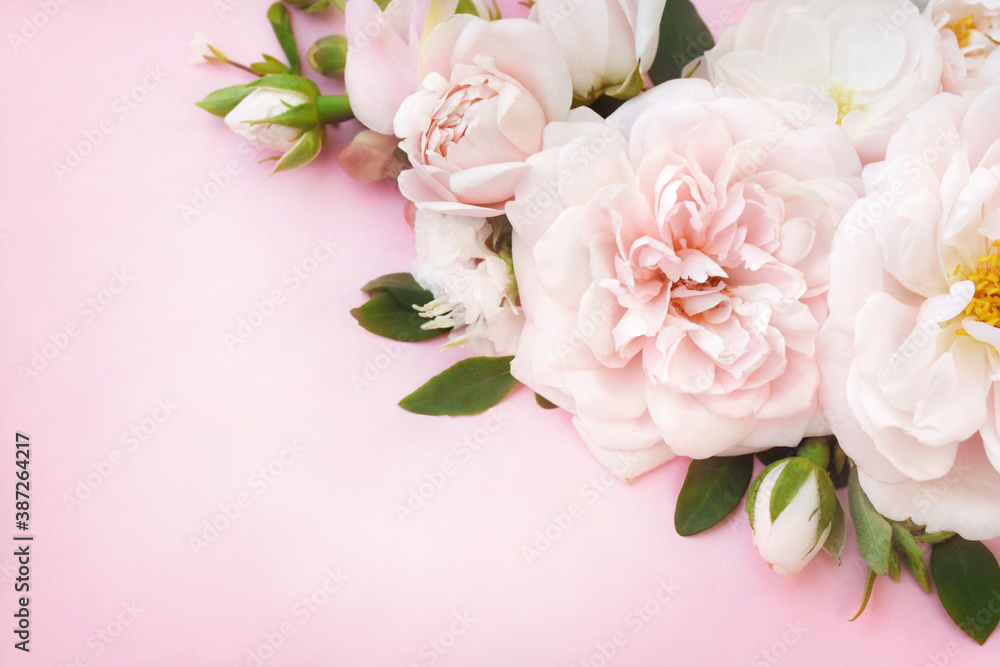 Delicate blossoming pink and white rose flowers frame, blooming pastel festive background, soft bouquet floral card, toned, selective focus