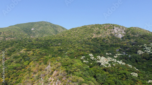 cerro de la vieja