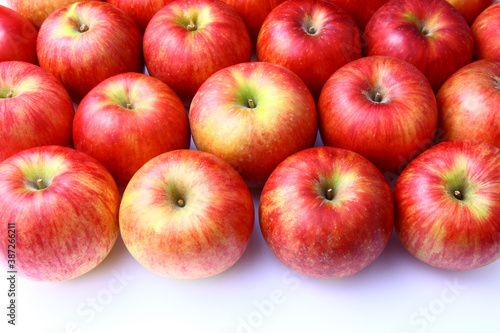 Wallpaper Mural リンゴ Torontodigital.ca