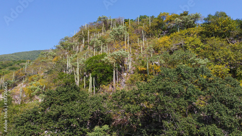 cerro de la vieja photo