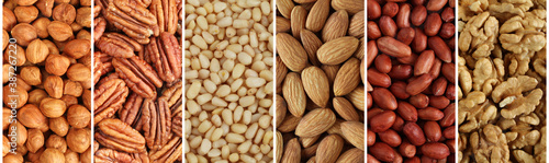 Nuts collage, long banner – hazelnuts, pecan nuts, cedar nuts, almonds, peanuts, walnuts.