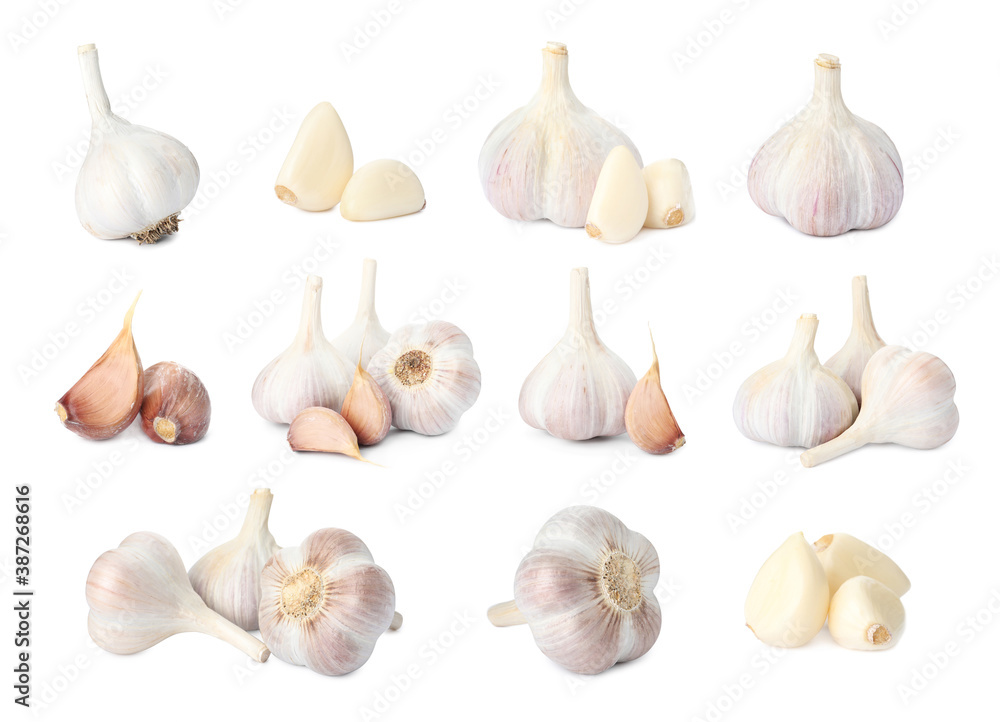 Set with garlic bulbs and cloves on white background Set with garlic bulbs and cloves on white background