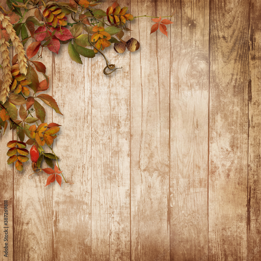 Autumn wooden background with branch with leaves and berries with copy space Autumn wooden background with branch with leaves and berries with copy space