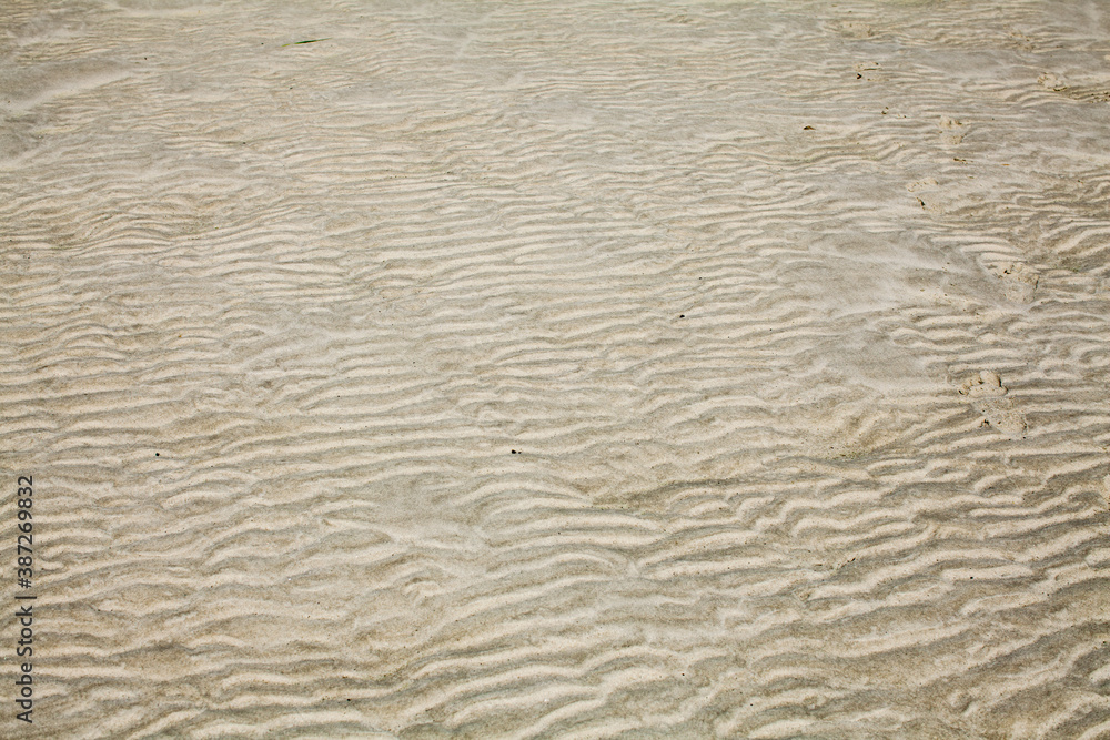 Sunny summer beach at low tide Sunny summer beach at low tide