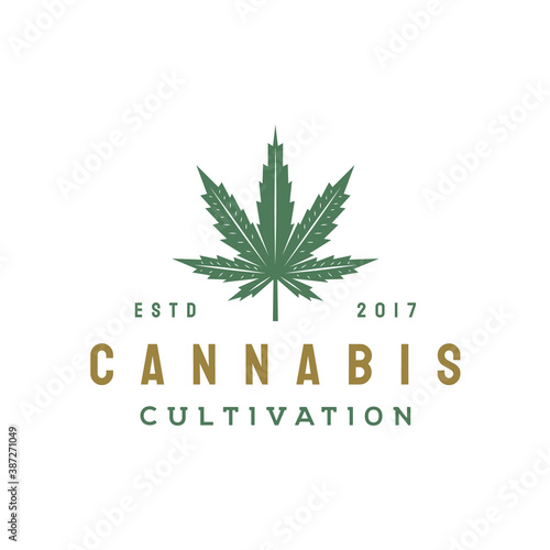 Vintage Cannabis leaf logo design
