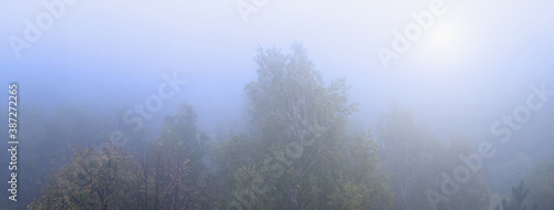 Autumnbeautiful landscape of morning forest in dim sun. Majestic view of trees in the fog.