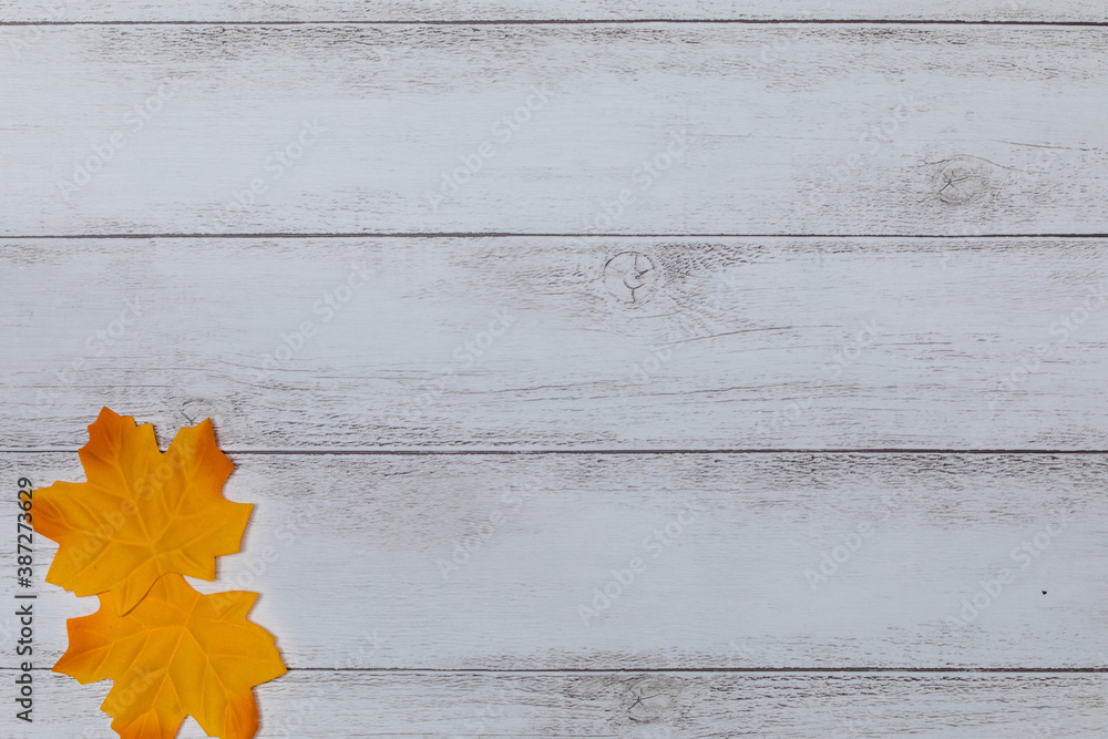 Fototapeta premium 紅葉の背景