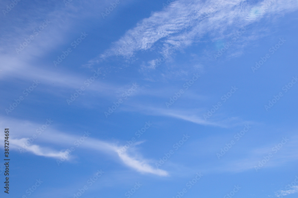 Naklejka premium 青空と白い雲