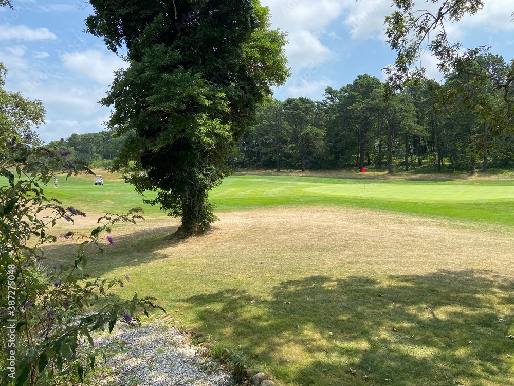 Fototapeta premium golf course in the morning