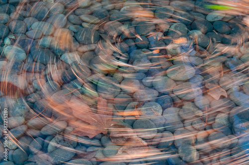 Tableau sur toile Swirling Pine Needles