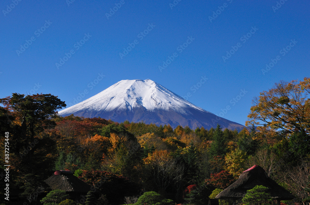 秋の富士