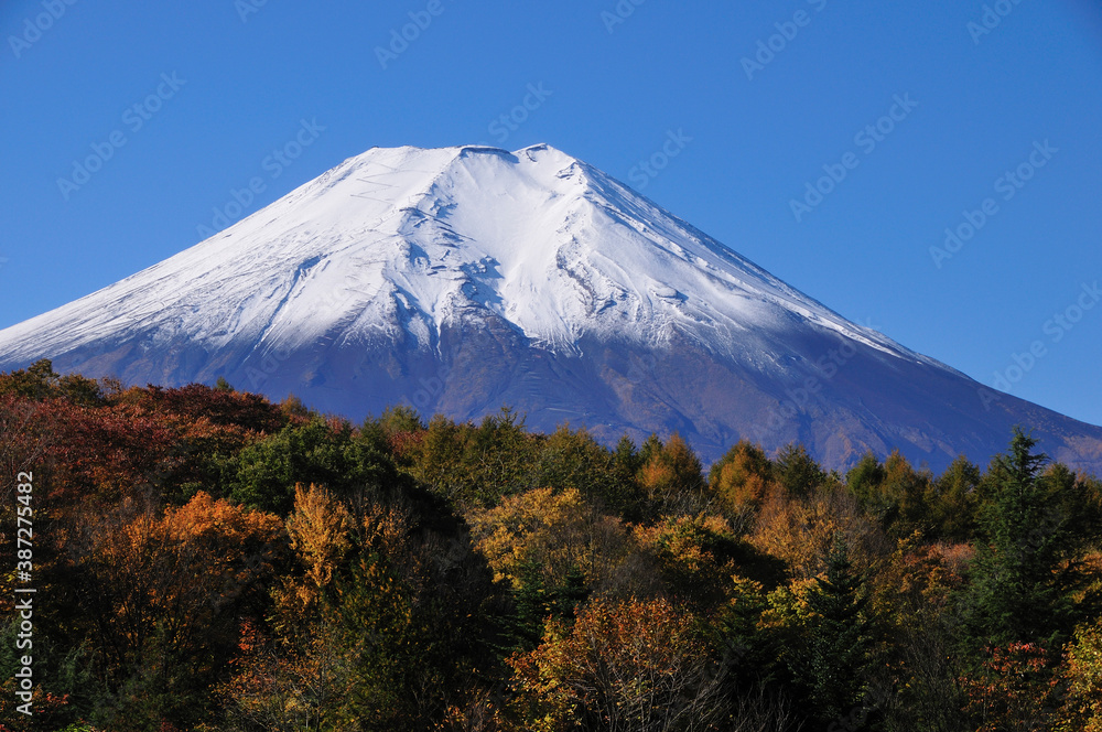 秋の富士