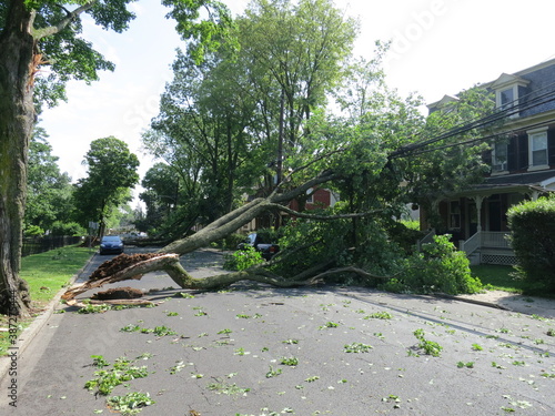 Large tree limb falls on power lines on residential street after tornado. Storm damage.