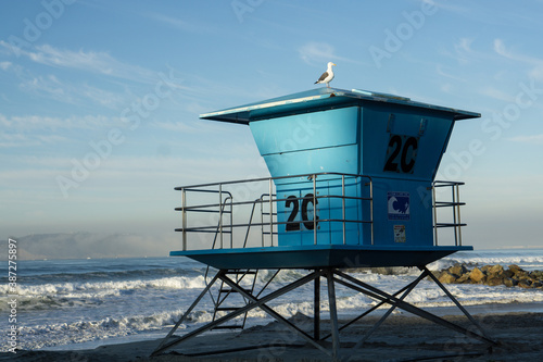Blue life guard station on Coronado Island with a sea gull sitting on top of the station and waves in the background © A. Brownfield Brown