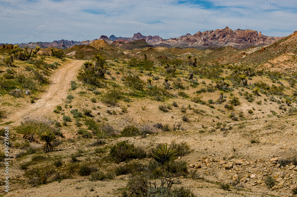 road in the desert 