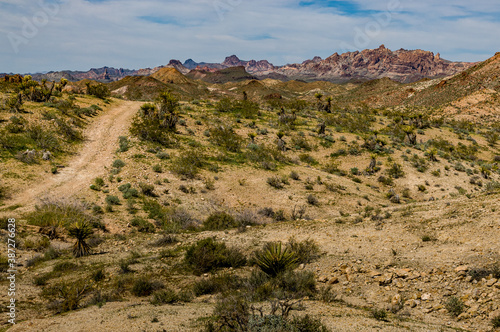 road in the desert 