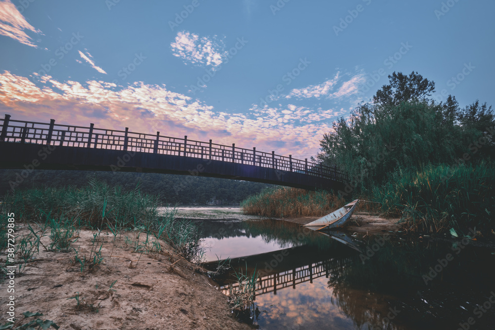 Fototapeta premium nature