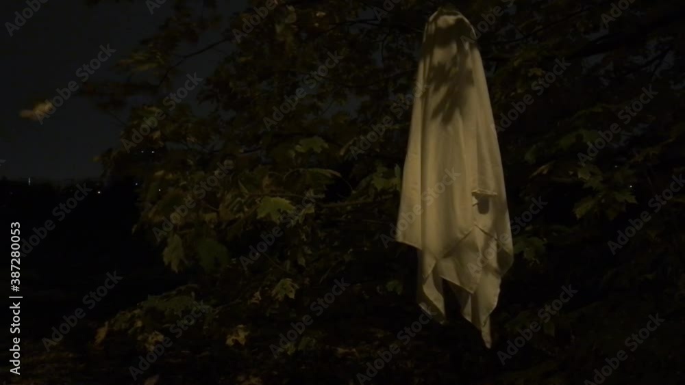 Halloween ghost dancing in the night forest Halloween ghost dancing in the night forest