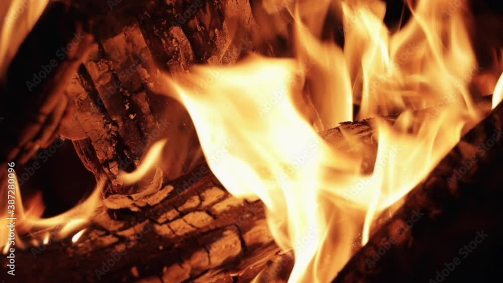 Slowmotion Pan Up of how a bonfire burns in a forest at night. Pro Res. Slowmotion Pan Up of how a bonfire burns in a forest at night. Pro Res.