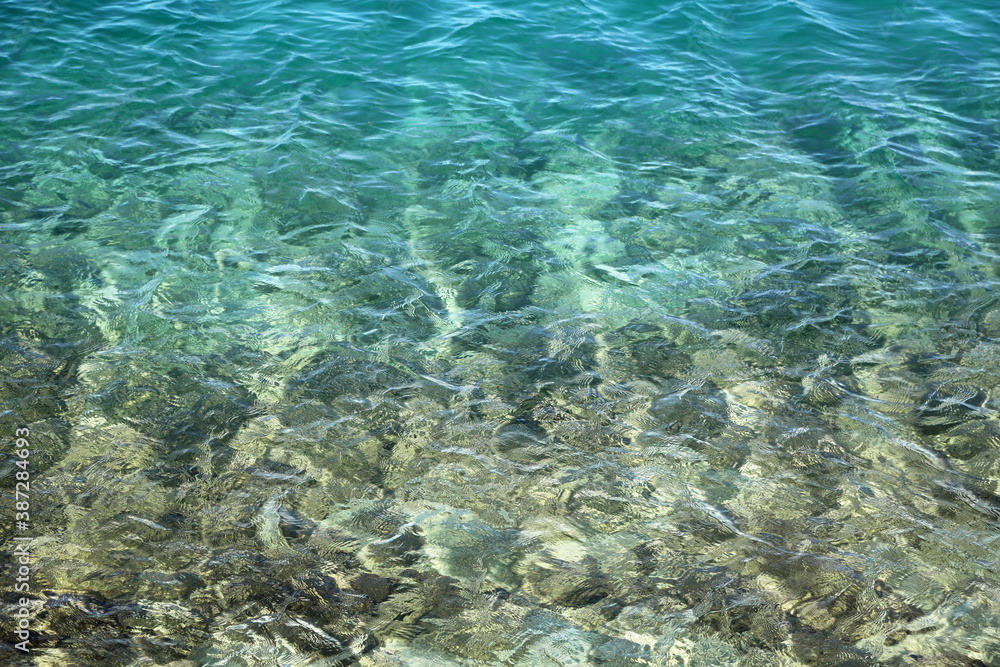 Naklejka premium Crystal clear water