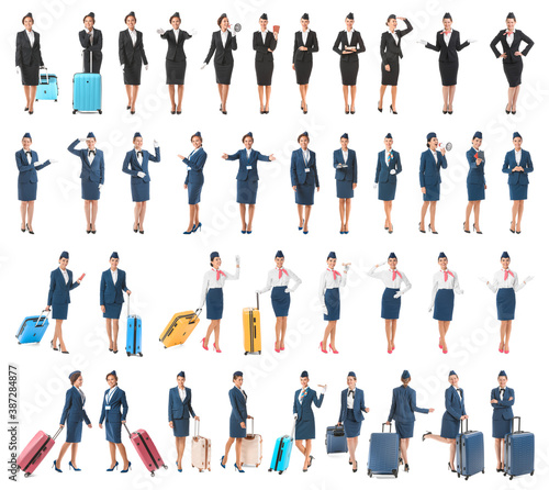 Collage of different beautiful stewardesses on white background