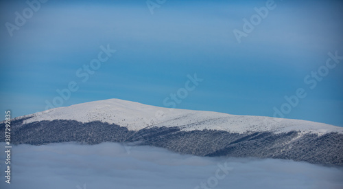 Snowy mountains. Winter forest with the snow.