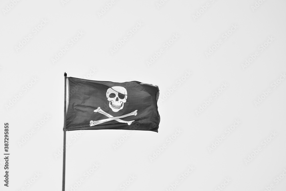 Naklejka premium Black and White Pirate flag with with skull and bones