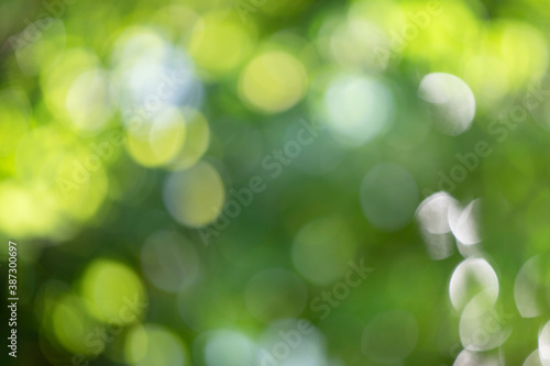 Green natural defocus abstract blurred background